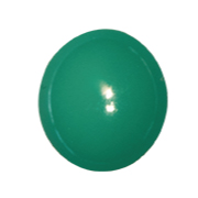 アイシールド(中)