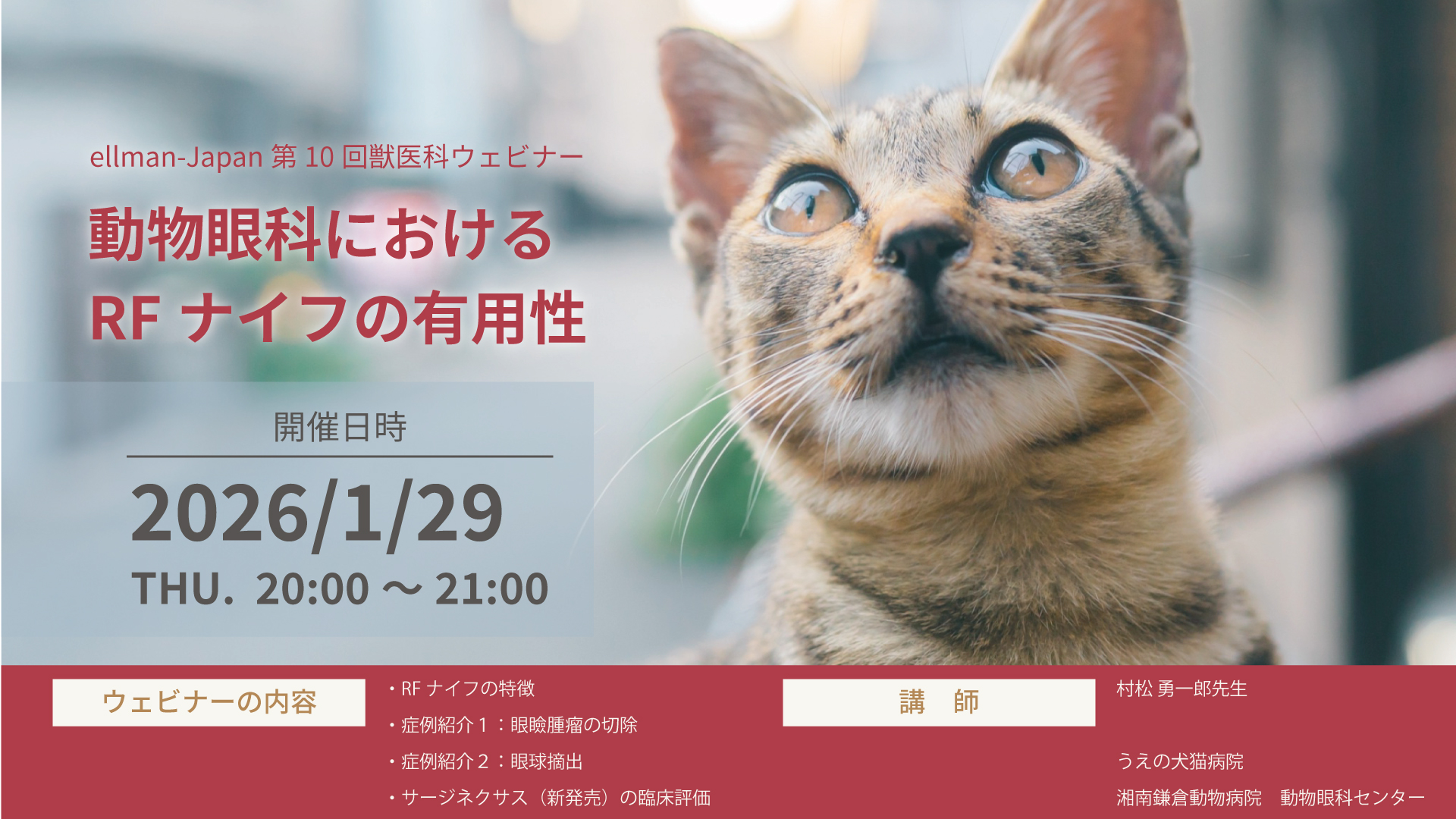 第10回獣医科ウェビナー「動物眼科におけるRFナイフの有用性」